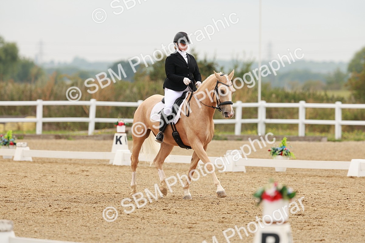 SBM_009102 - Class 12 - Elementary 6 - 9.30-10.34