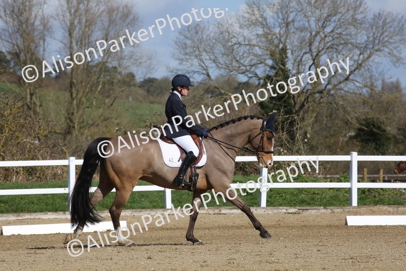 20260314-3991 - CT4 - Novice 1