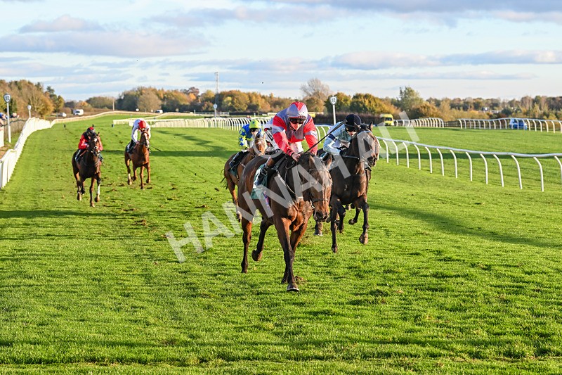 291024-Race 6-Count DOrsay-6351 - Race 6