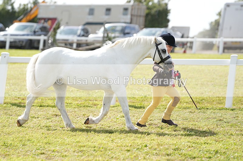 DSC07662 - Class 62: Child Handler