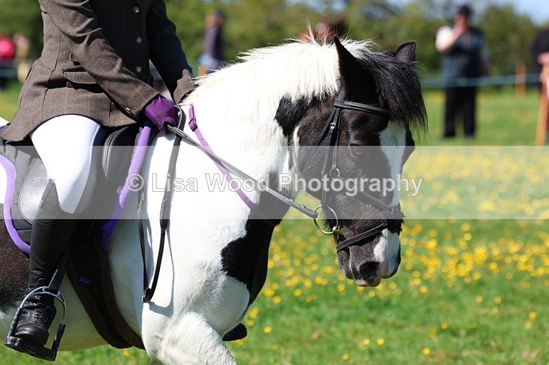 3E7A0060 - Class 4: Best Combination Junior