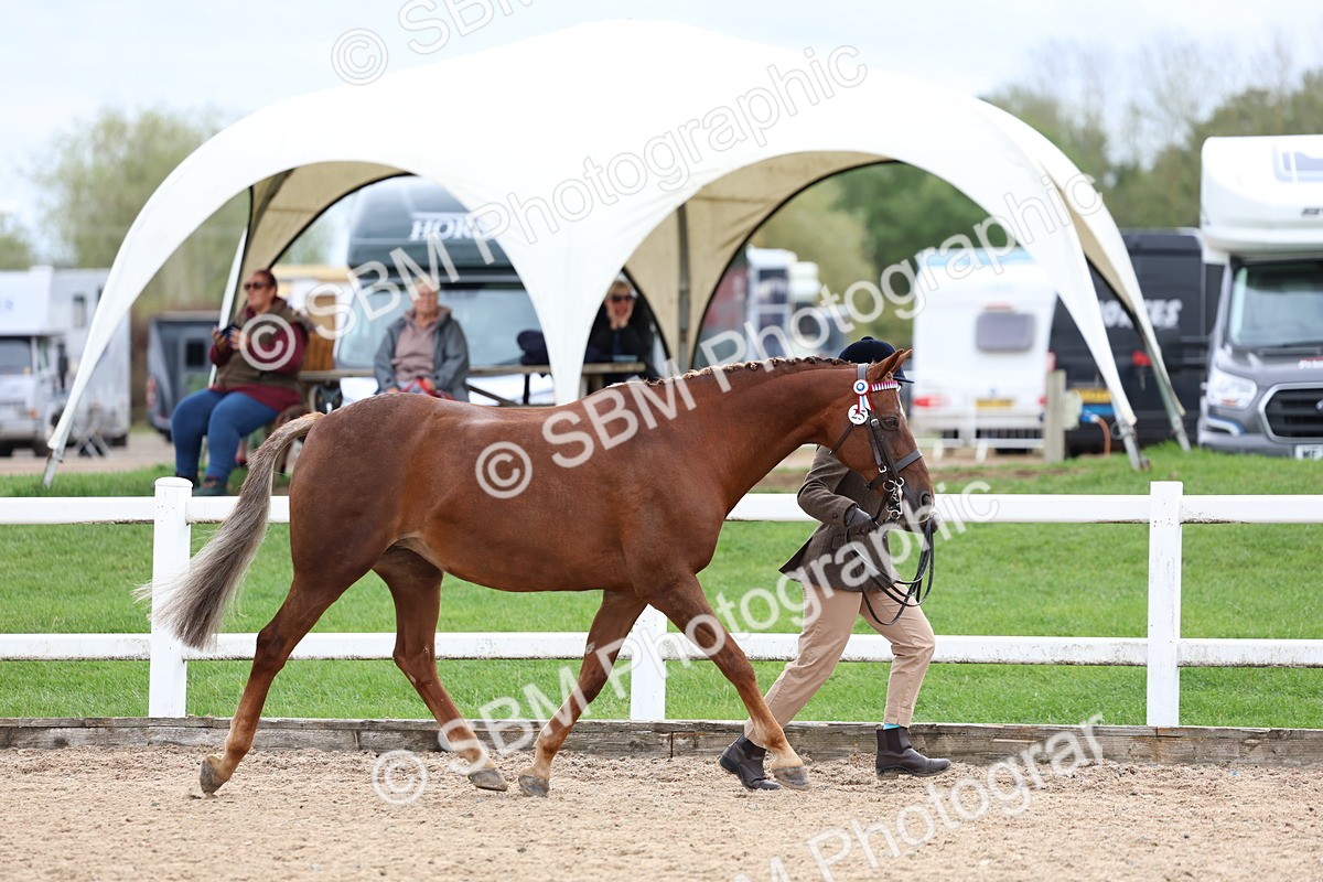 SBM_05840 - Class 29 - IH Veteran Pony