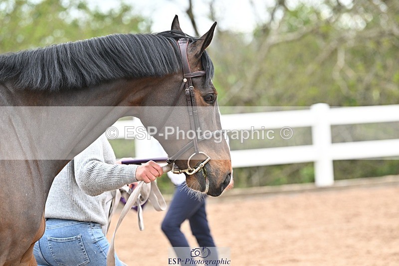 250423-162237-02128 - 4pm to 5pm