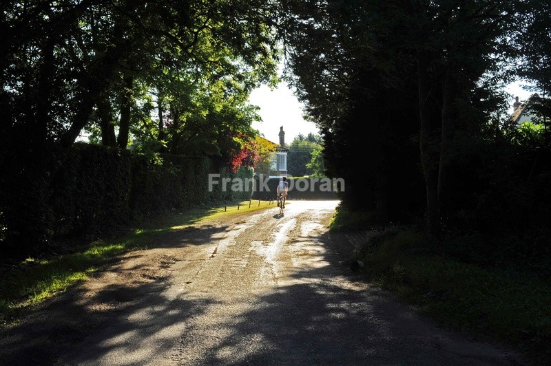 Essex Countryside - Frank Doran