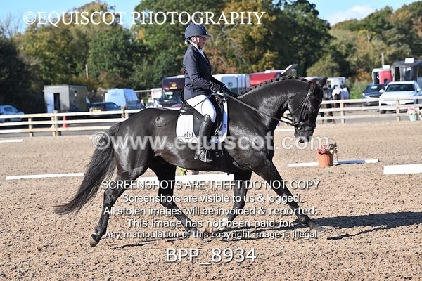 BPP_8934 - LONG ARENA NOVICE 6
