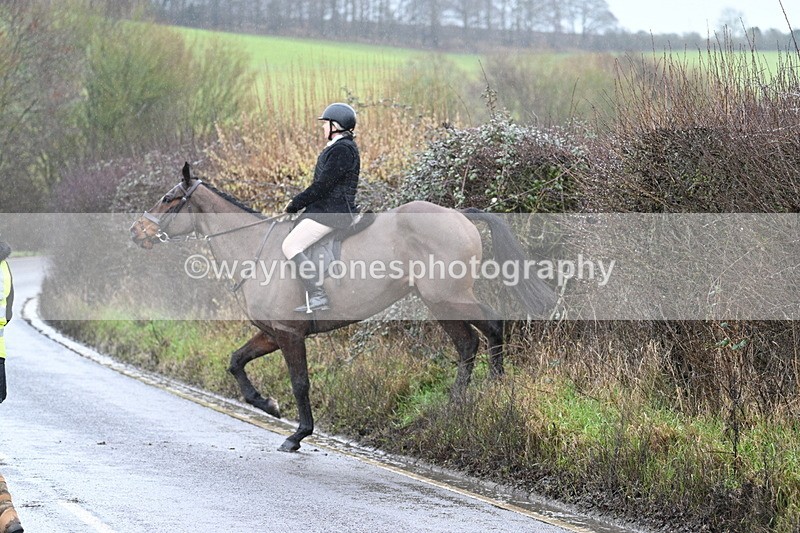 WJ7_6971 - Crossing A Camera