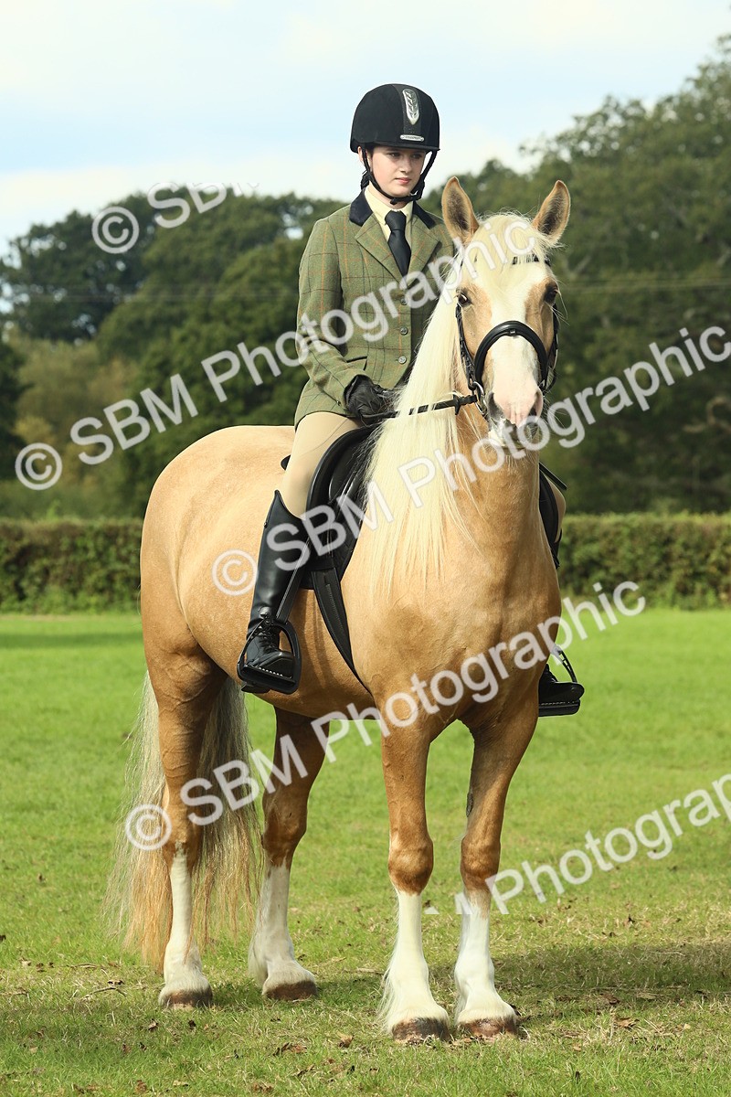 SBM_62675 - S63 - Other Coloured Horse Ridden