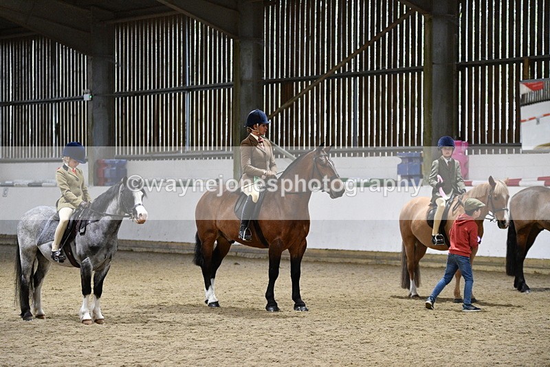 WJ5_8728 - Class 14 Novice Ridden/Rider