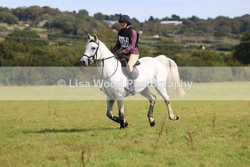 3E7A6771 - Class 2: Trekenning Open: Yellow Boat