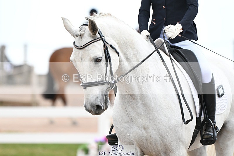 250620-112444-02834 - BD Cls 4 - Novice 5, Start to 11.30am