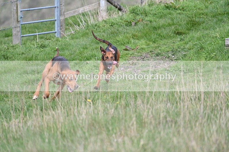 WJ7_8035 - Line 2 A camera