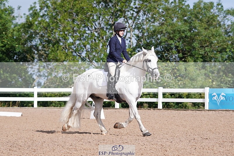 240809A-093134-00254 - Dressage Competition