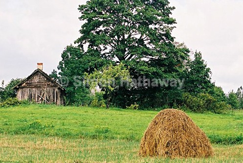  - Latvia