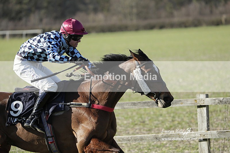 PtP 250223 0590 - Kimblewick Hunt Point-to-Point Kingston Blount 25/02/23