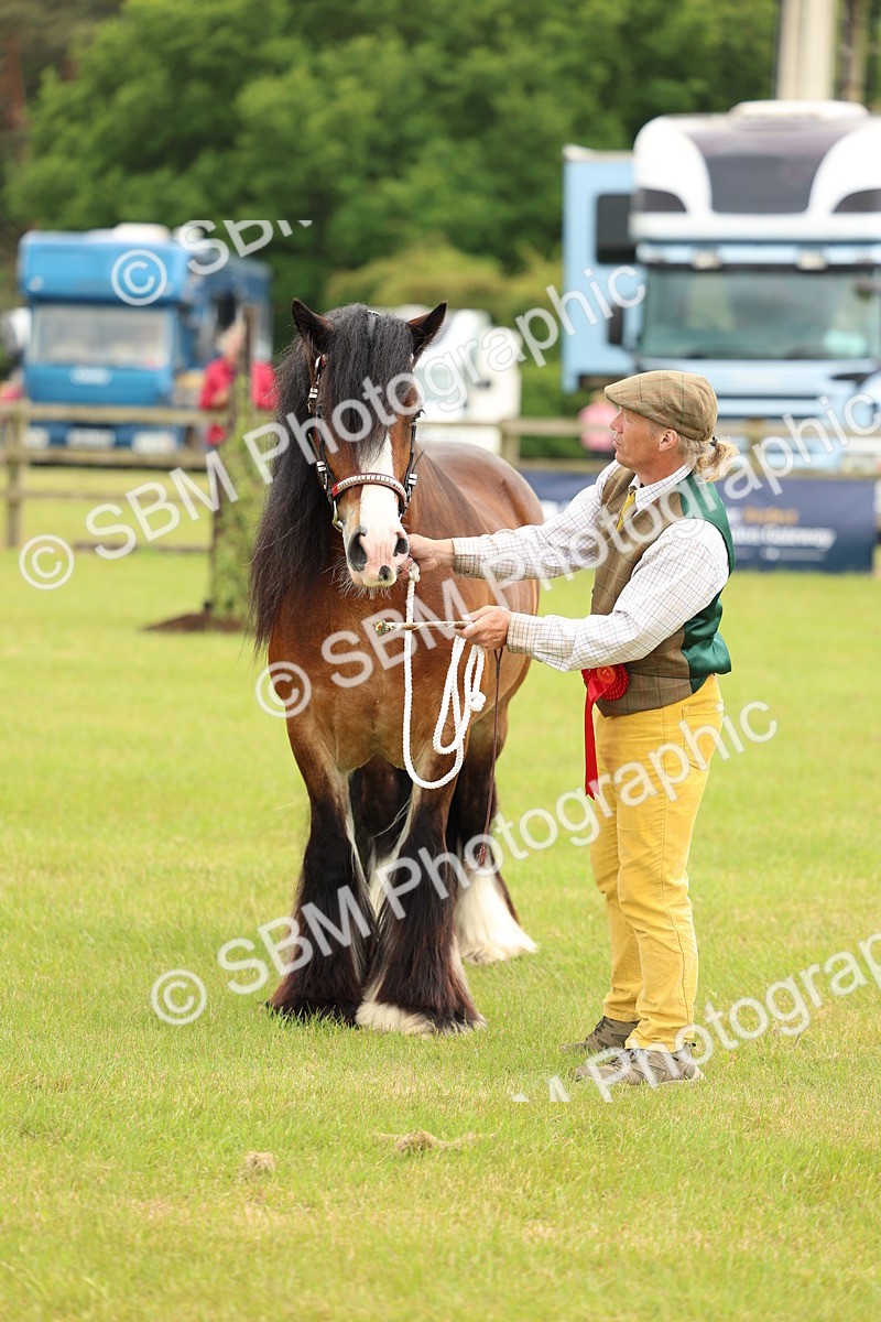 SBM_06289 - Class 39-41 TGCA In Hand and Ridden