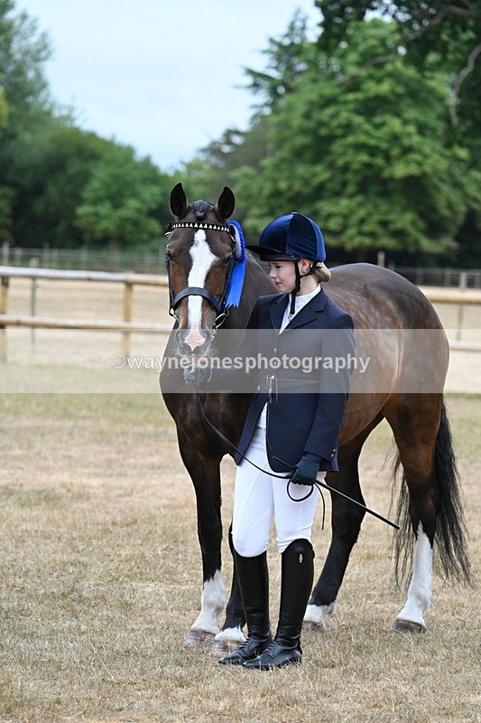 WJ7_0171 - Class 5a Most Handsome Gelding (above 14.2hh)