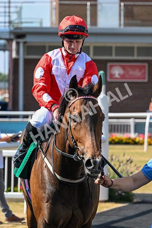 160726-Race 5-Captain Cess-4962 - Race 5 16.10pm Meijer Celebration Cup Handicap