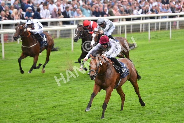 yr20082021r3-23 - Race 3 3.00pm Al Basti Equiworld Dubai Gimcrack Stakes