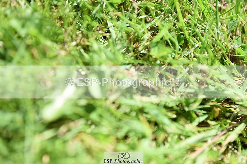 240605-143842-01171 - Cls 6 Elementary 59 SQ