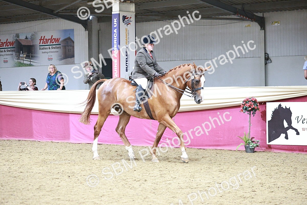 SBM_08762 - Class 12R - Regional Ridden Pre-Vet