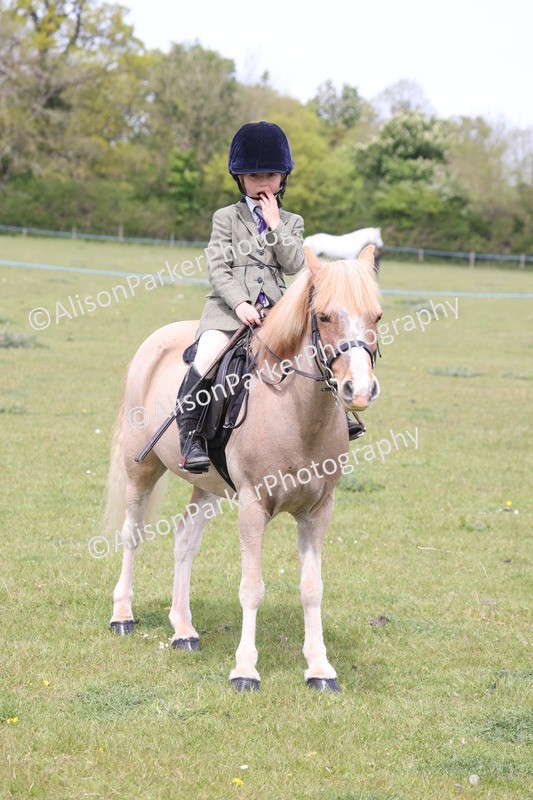 20260426-3031 - Class 33 - Best Pony 14.2hh and Under