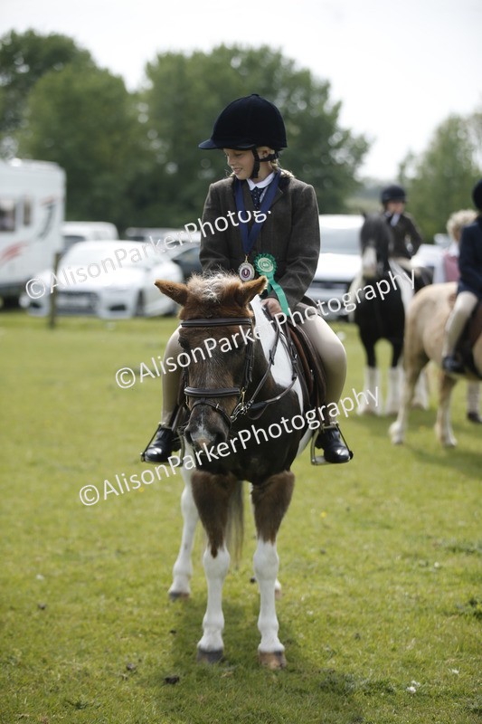 20260426-1967 - Class 8 - Prettiest Mare