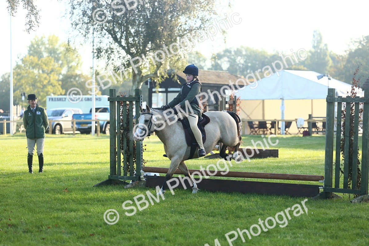 SBM_31853 - S28 - Nursery Stakes Working Hunter Pony