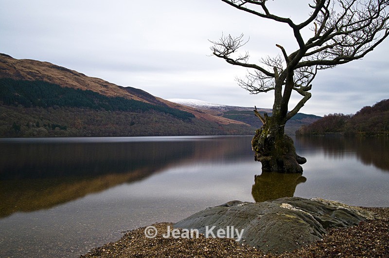 Loch Lomond - 3495 - Scotland