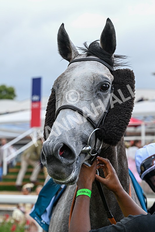 250726-Race 6-Likealot-1267 - Race 6 16.17pm Sky Bet Build A Bet Handicap