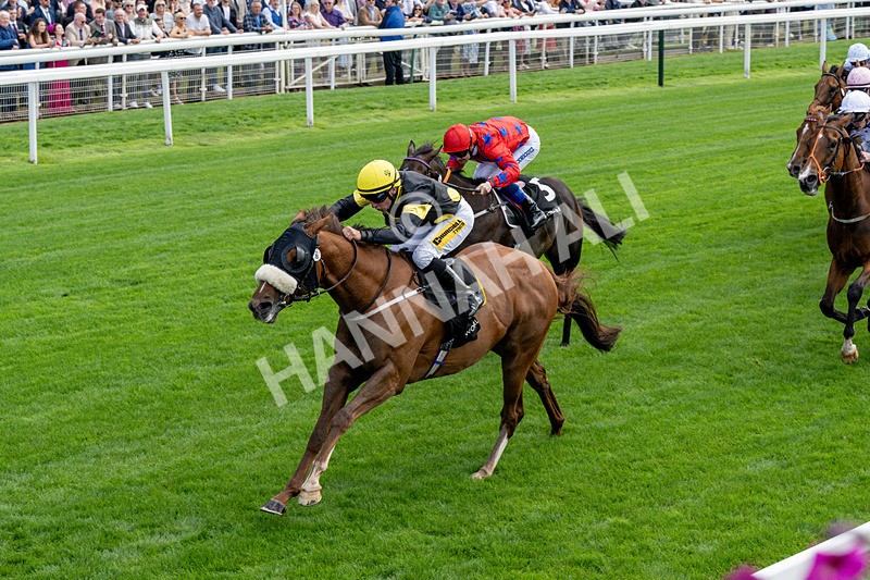 190826-Race 1-Air Force One-0152 - Race 1 13.50pm Hong Kong Jockey Club World Pool Handicap
