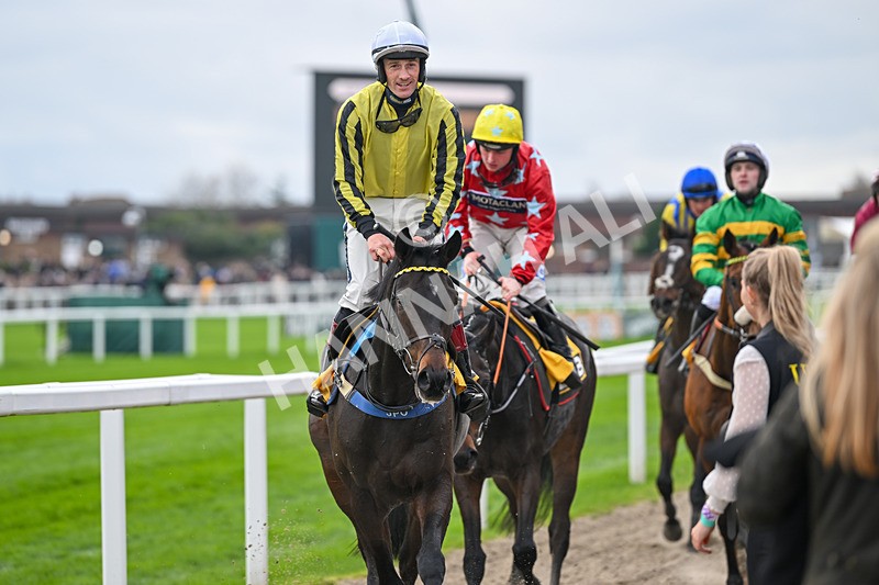 161124-Race 1-East India Dock-9266 - Race 1