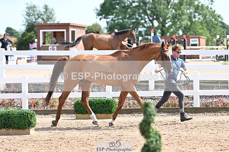 240717A-154150-02986 - Trot Up 3pm to 4pm