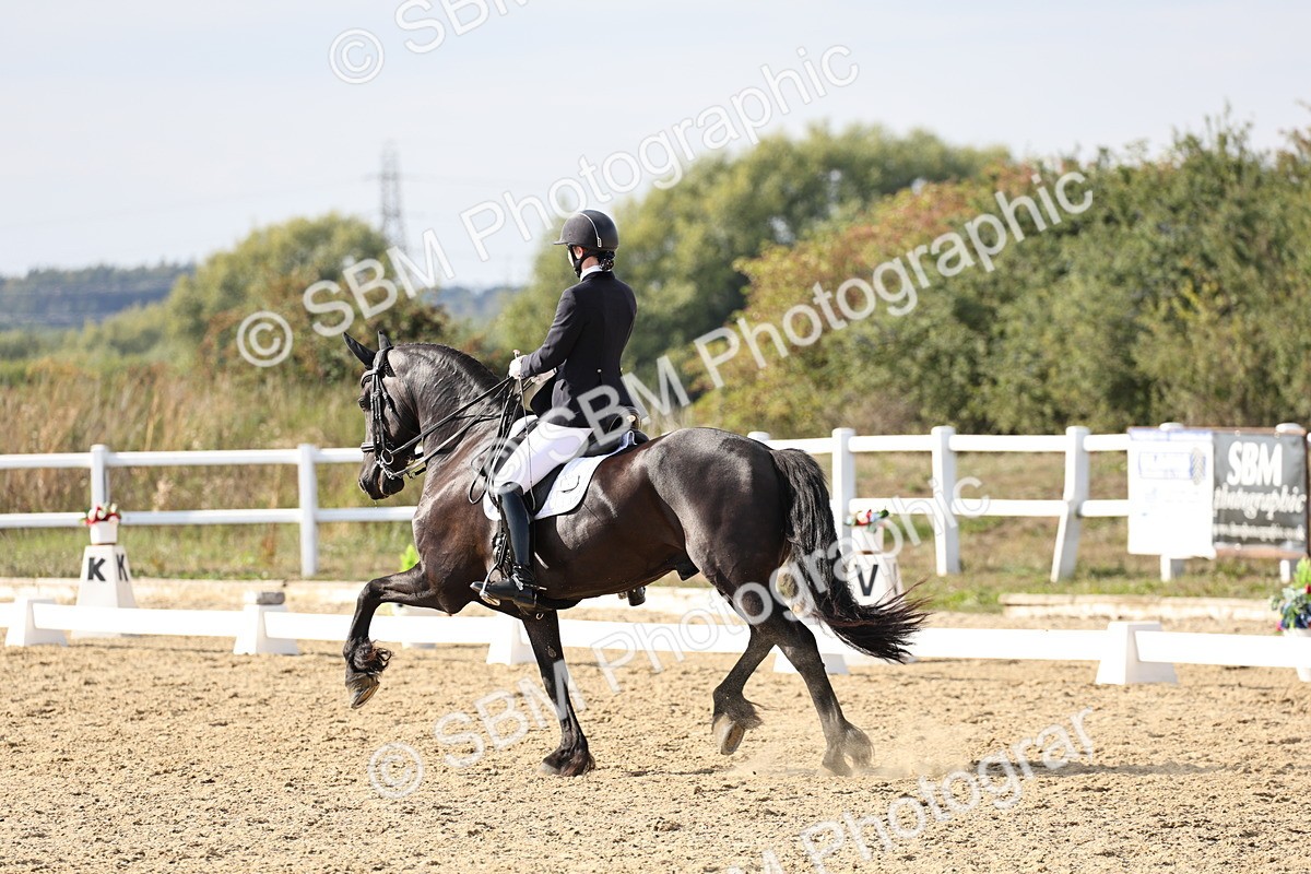 SBM_015398 - Class 9 - Advanced medium 3