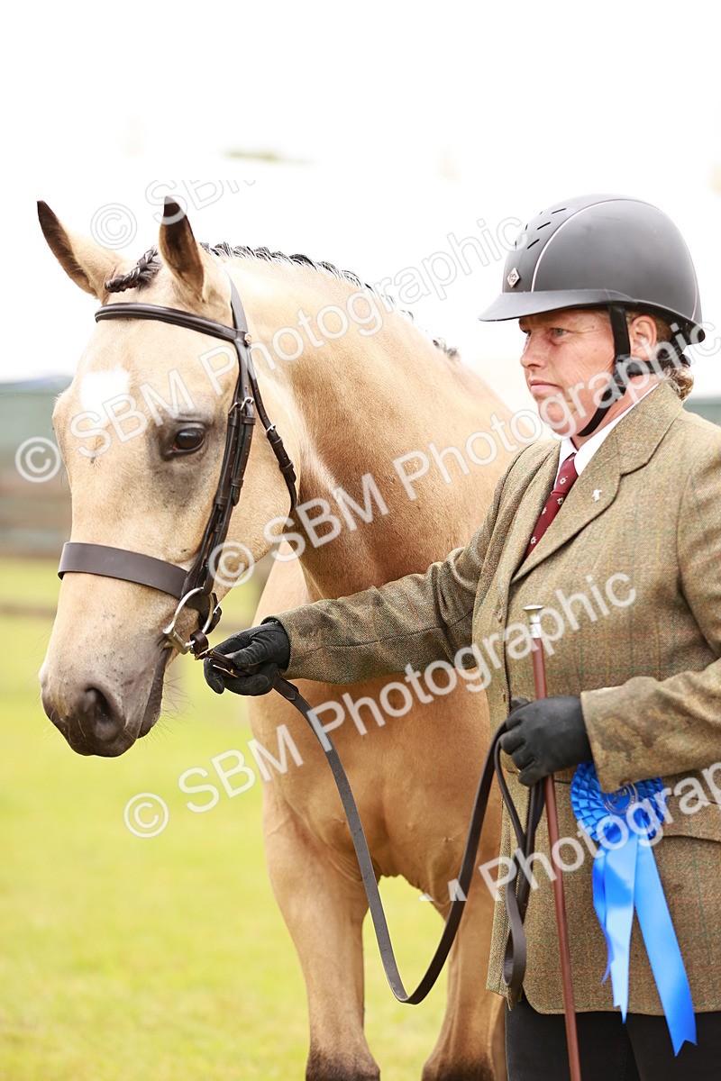 SBM_00733 - Class 26-30 Sport Horse In Hand