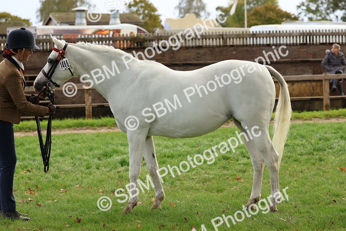 SBM_40763 - S25 -  Veteran In Hand