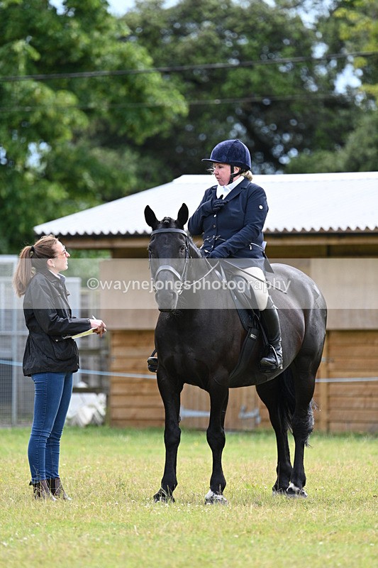 WJ7_8521 - Class 7  Riding Club Show Horse