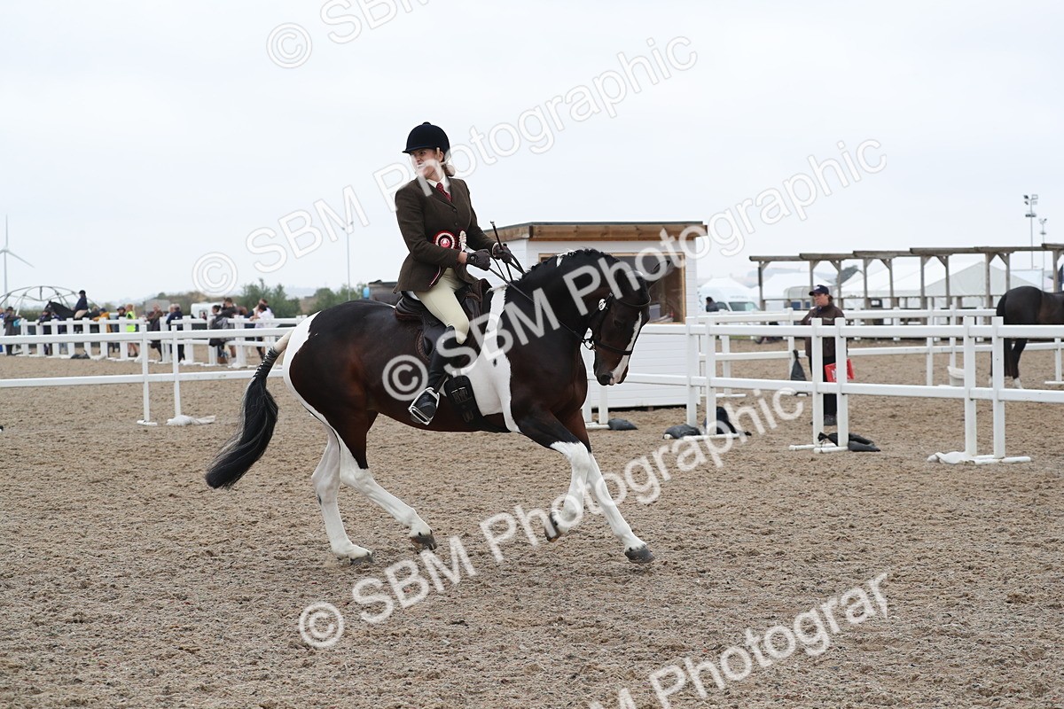 SBM_22075 - Class 603 - 2025 Area Ridden Pre Vet