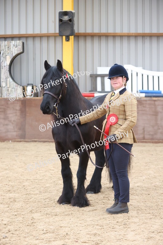 20251109-1093 - Class 29 - Geldings 4 Years and over