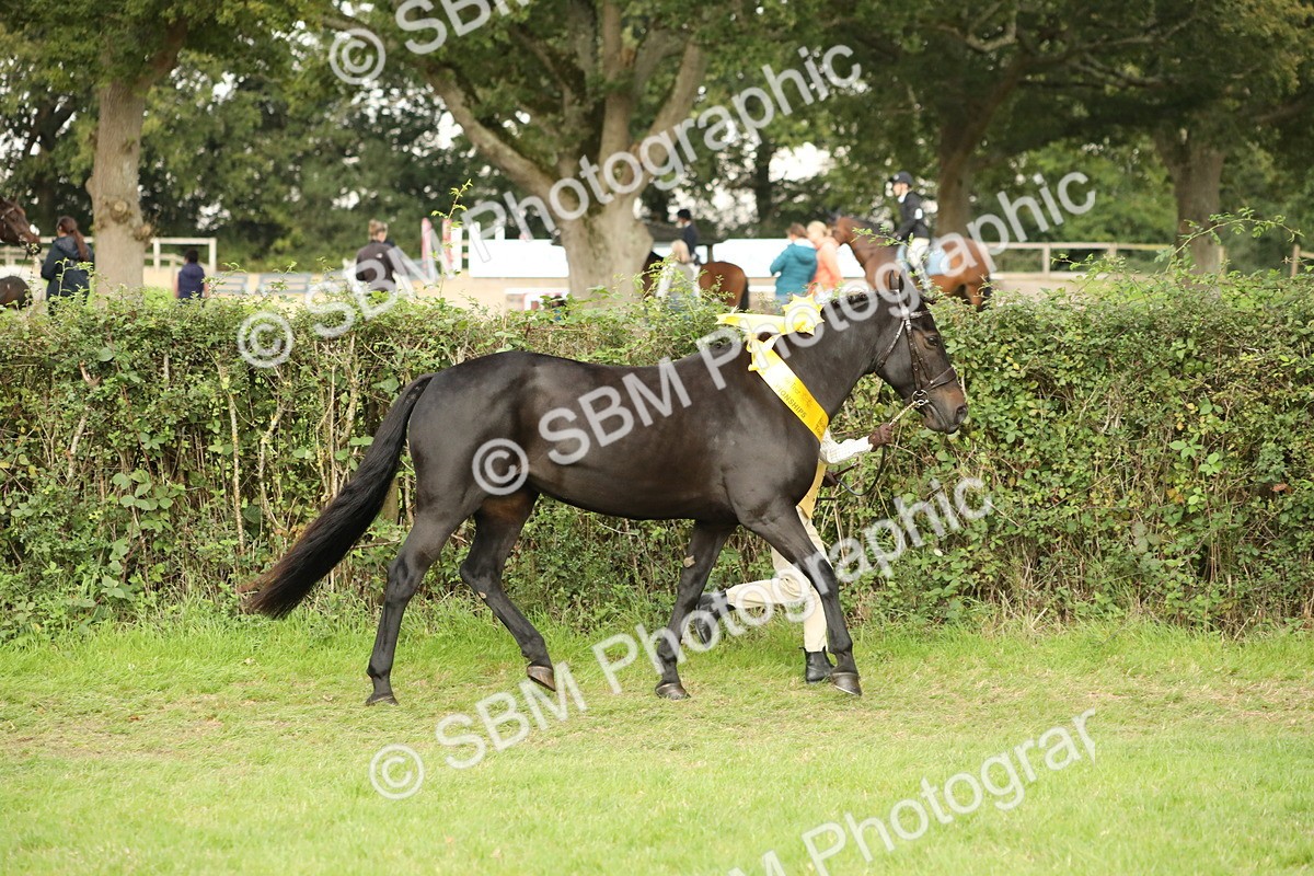 SBM_75359 - Equitation Supreme Championship