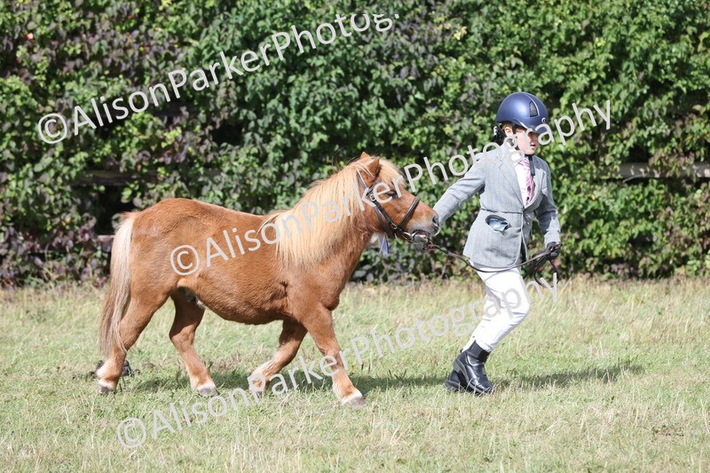 20250831-1758 - Class 22 - Mountain and Moorland Inhand