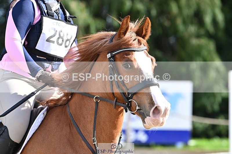 240302-125206-01071 - Cls 2 80-85cm 12.30 to End