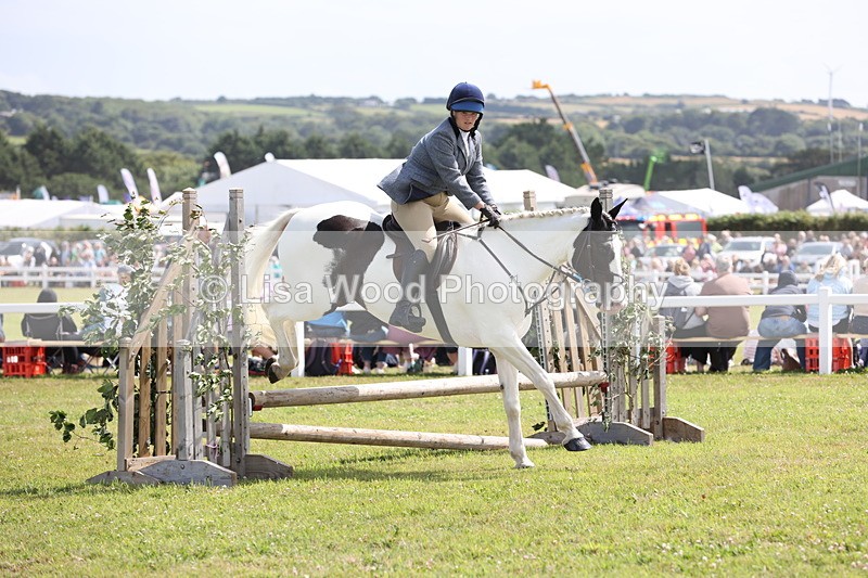 JPP_2197 - Class 19: Working Hunter 60cm