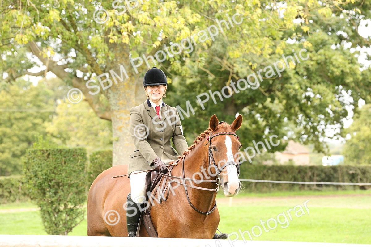 SBM_64305 - S65 - Riding Horse & Hack & Thoroughbred Ridden