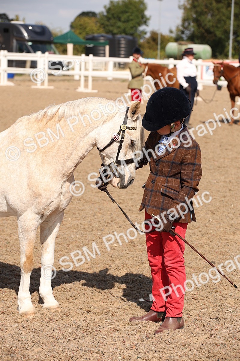 SBM_03045 - Class 17 Prettiest Mare IH or Ridden