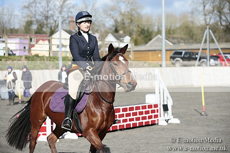 BVRC SJ 170319 48 - Bourne Valley Riding Club Showjumping 17/03/19