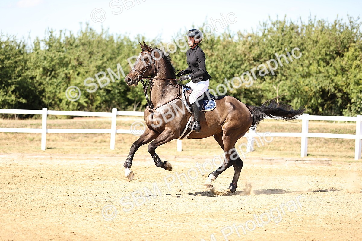 SBM_015491 - Class 16 - Senior foxhunter - 1.20m Open