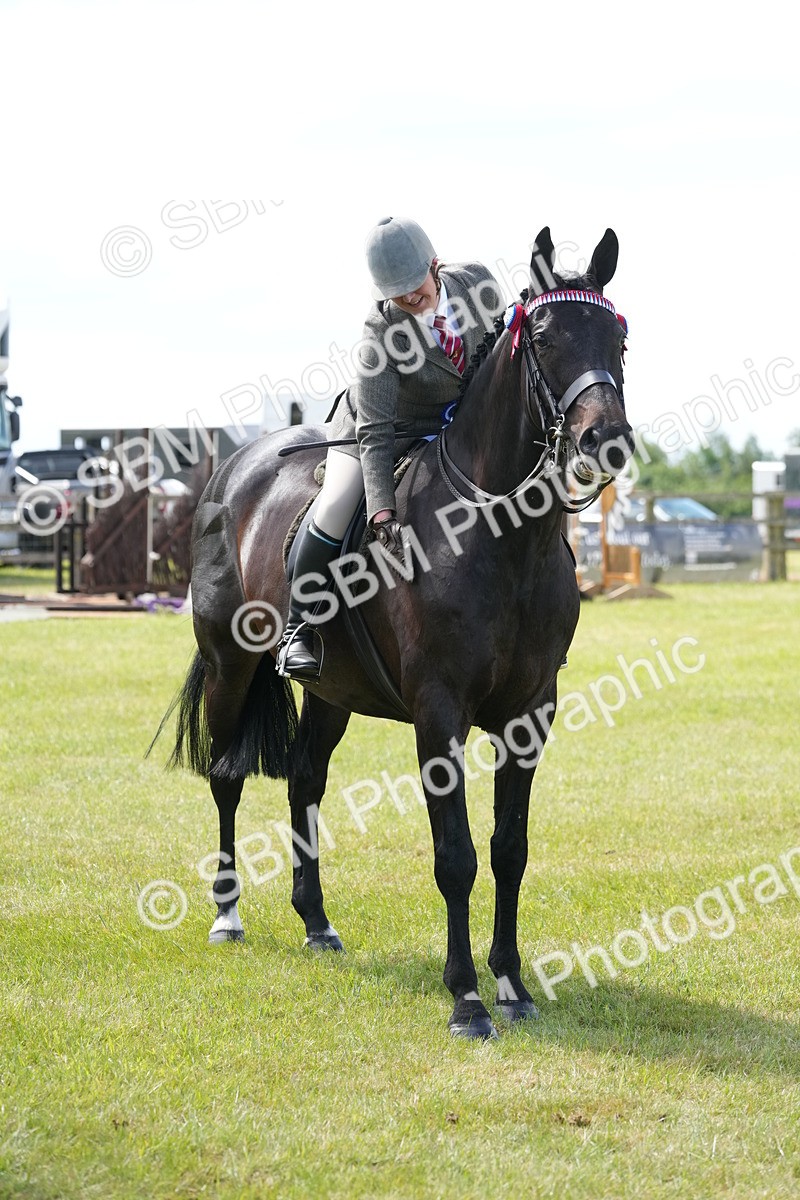 SBM_16304 - Class 105-106 - RIHS Riding Horses
