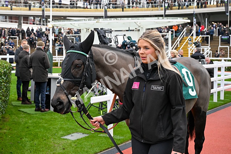 121225-Race 3-Continuance-4707 - Race 3