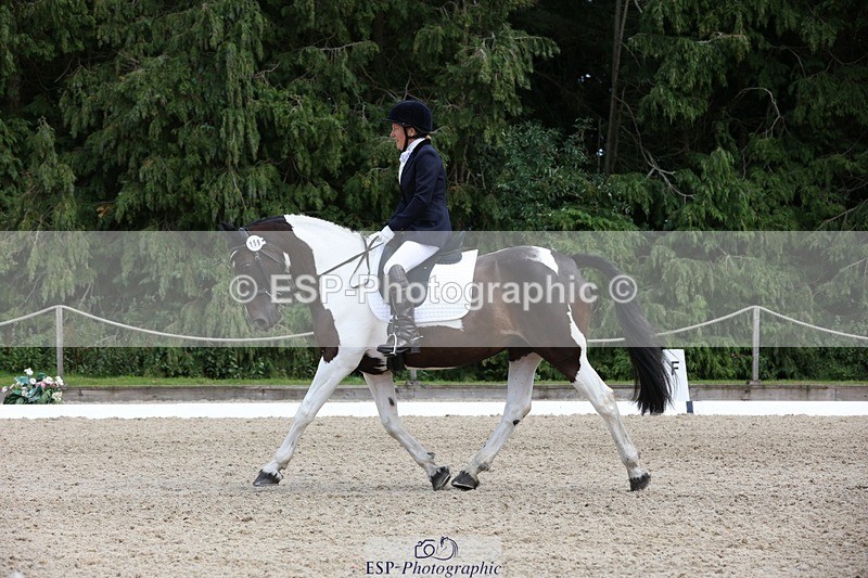 230812-140124-04360 - Cls 5 Novice Bronze 13.40 to 14.45 break