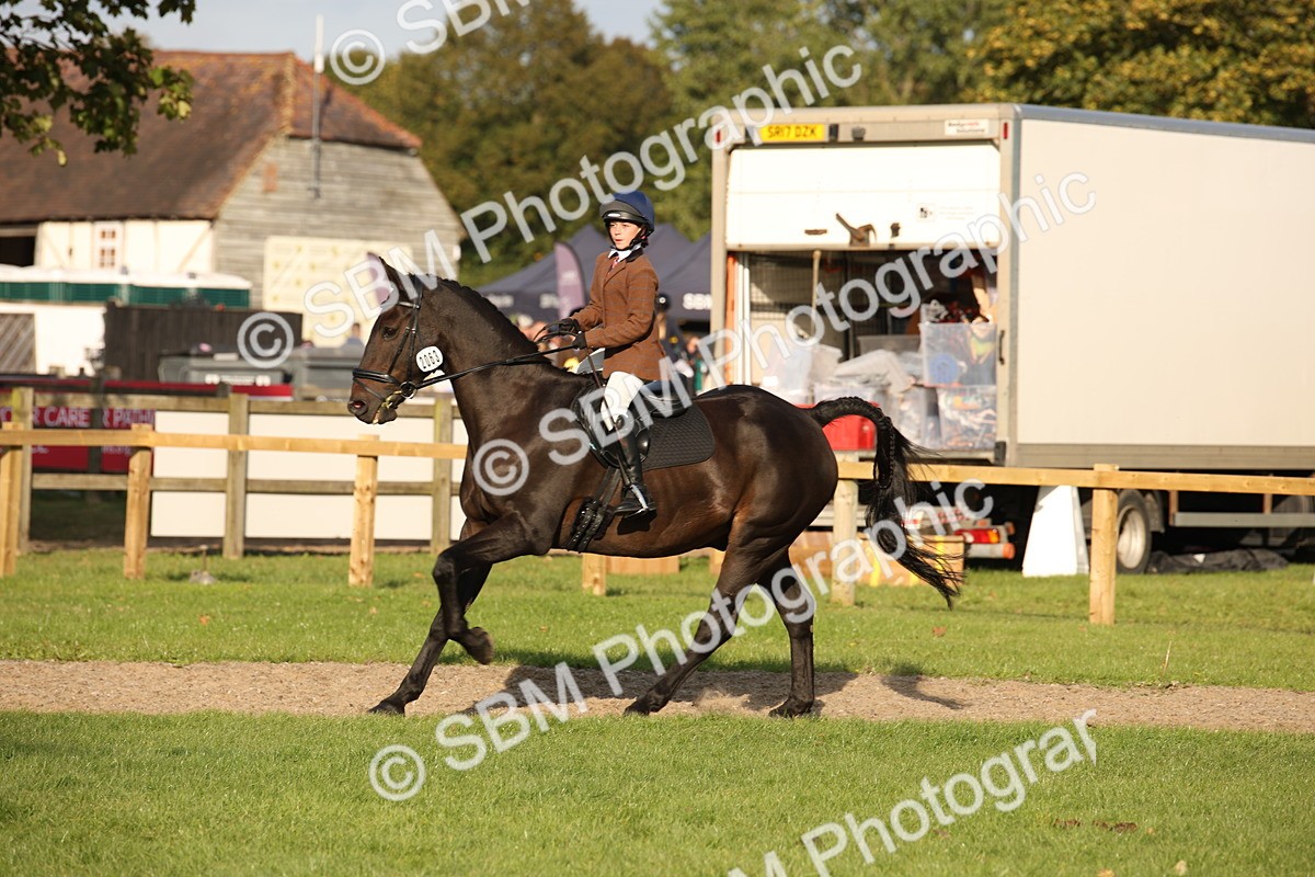 SBM_54307 - S27 - Mature Veteran - Ridden